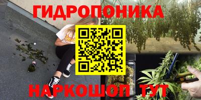 PSILOCYBIN Наро-Фоминск